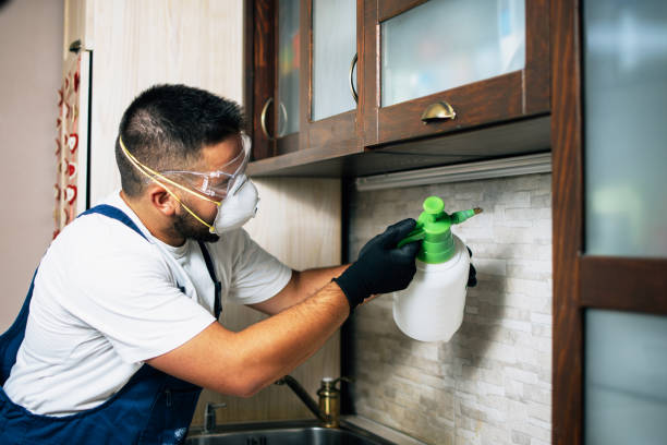 Best Termite Control Services  in Silverdale, WA