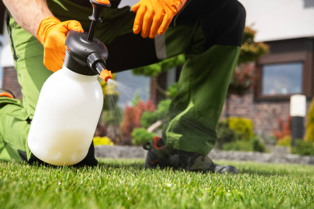 Best Mosquito Control Services  in Silverdale, WA