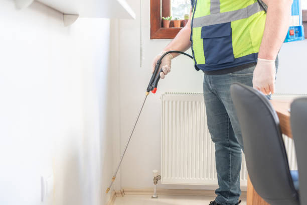 Best Termite Control Services  in Silverdale, WA