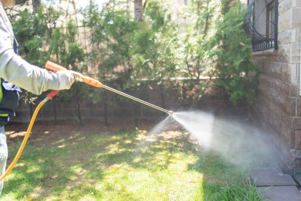 Best Exterminator Services  in Silverdale, WA
