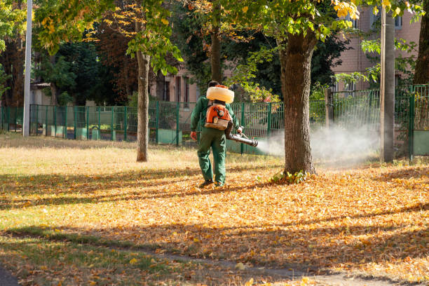 Best Local Pest Control Services  in Silverdale, WA