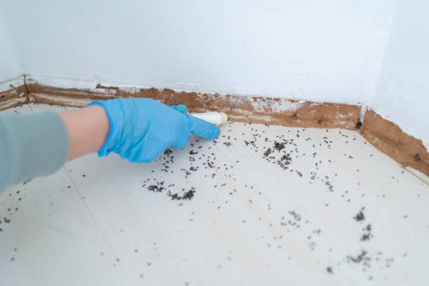  Silverdale, WA Pest Control Pros