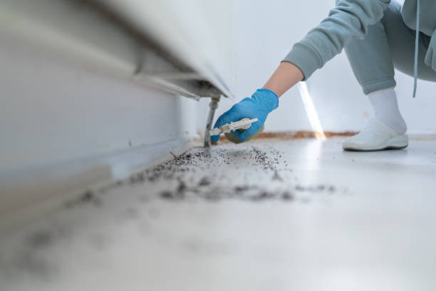 Best Pest Control Near Me  in Silverdale, WA