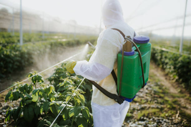 Best Bed Bug Extermination  in Silverdale, WA